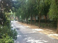 Vendido_Paris8.jpg