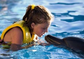Swim_with_Dolphins.jpg