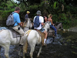 Pavones Costa Rica