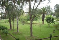 Miraflores, Lima, Lima, Perú