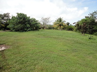 Pl54_thumb