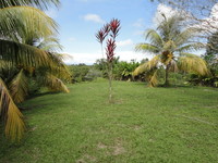 Pl54_thumb