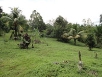 Pl54_thumb