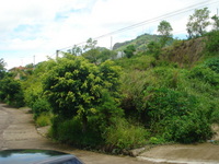 105_thumb
