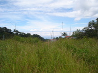 105_thumb