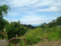 105_thumb