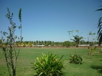 119_thumb