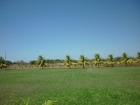 119_thumb