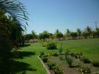 119_thumb