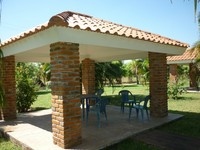119_thumb