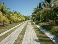 119_thumb