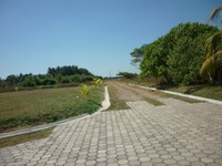 119_thumb