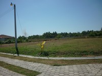 119_thumb