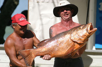 50pd_snook_011_thumb