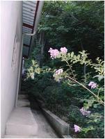 436_thumb